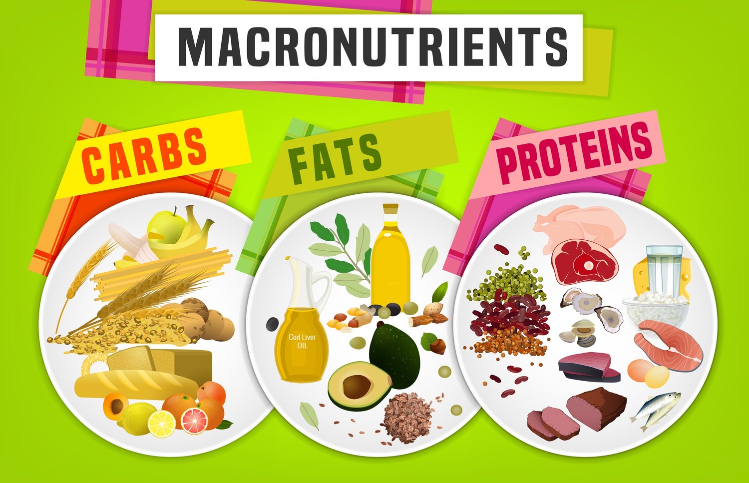 Macronutrients Understanding Protein
